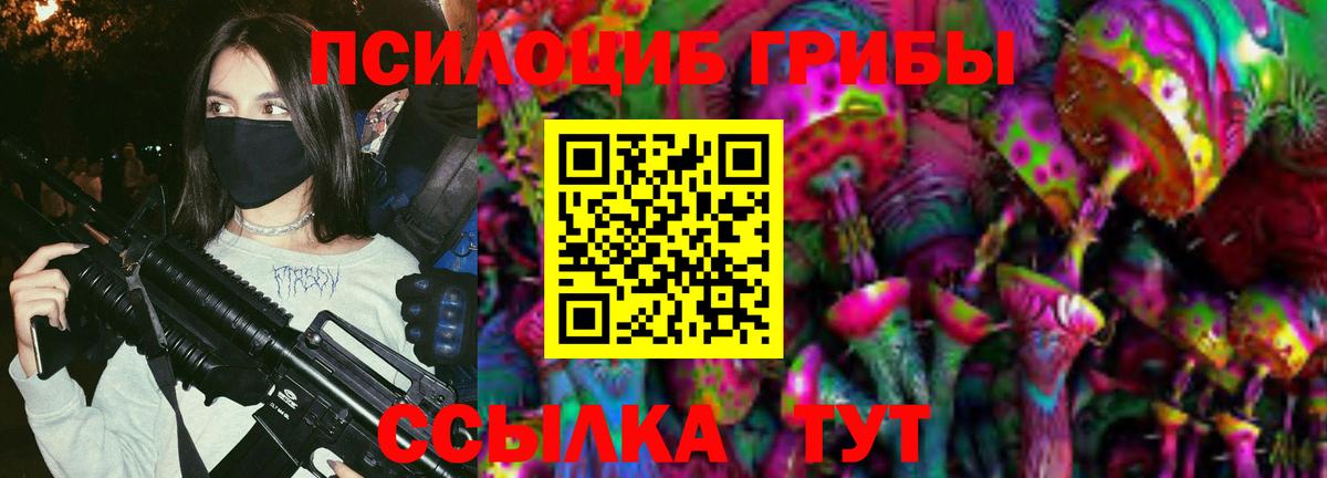 Обь  Галлюциногенные грибы Magic Shrooms  Псилоцибиновые грибы Magic Shrooms  где можно купить   Вход с VPN 